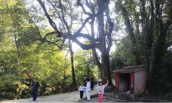 1116h 胜游亚洲·(中国区)官方网站